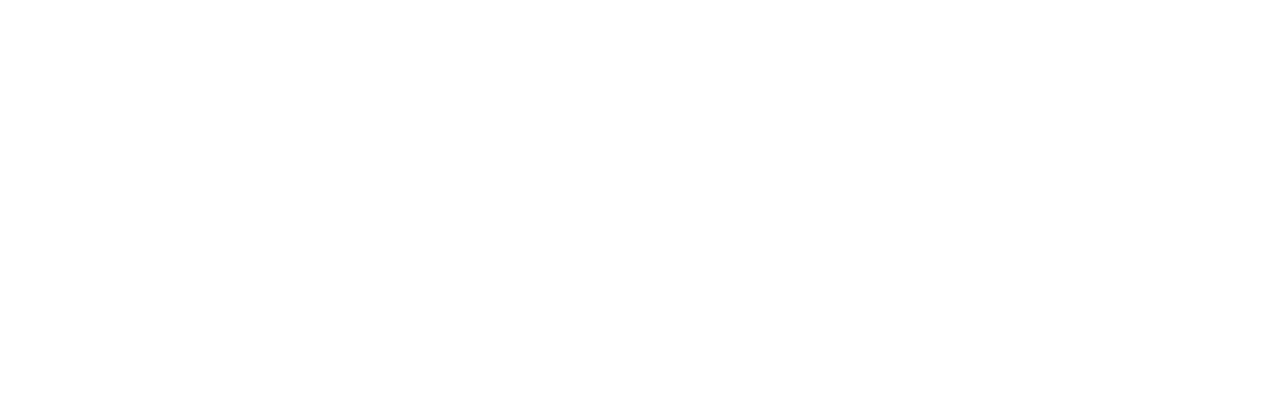VEHICLE-SAFETY